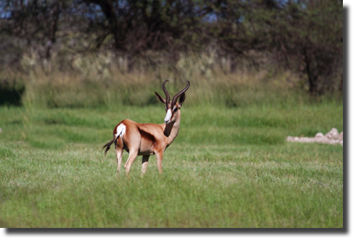 IMG_5652 - Version 2.jpg